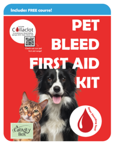 Pet first aid kit